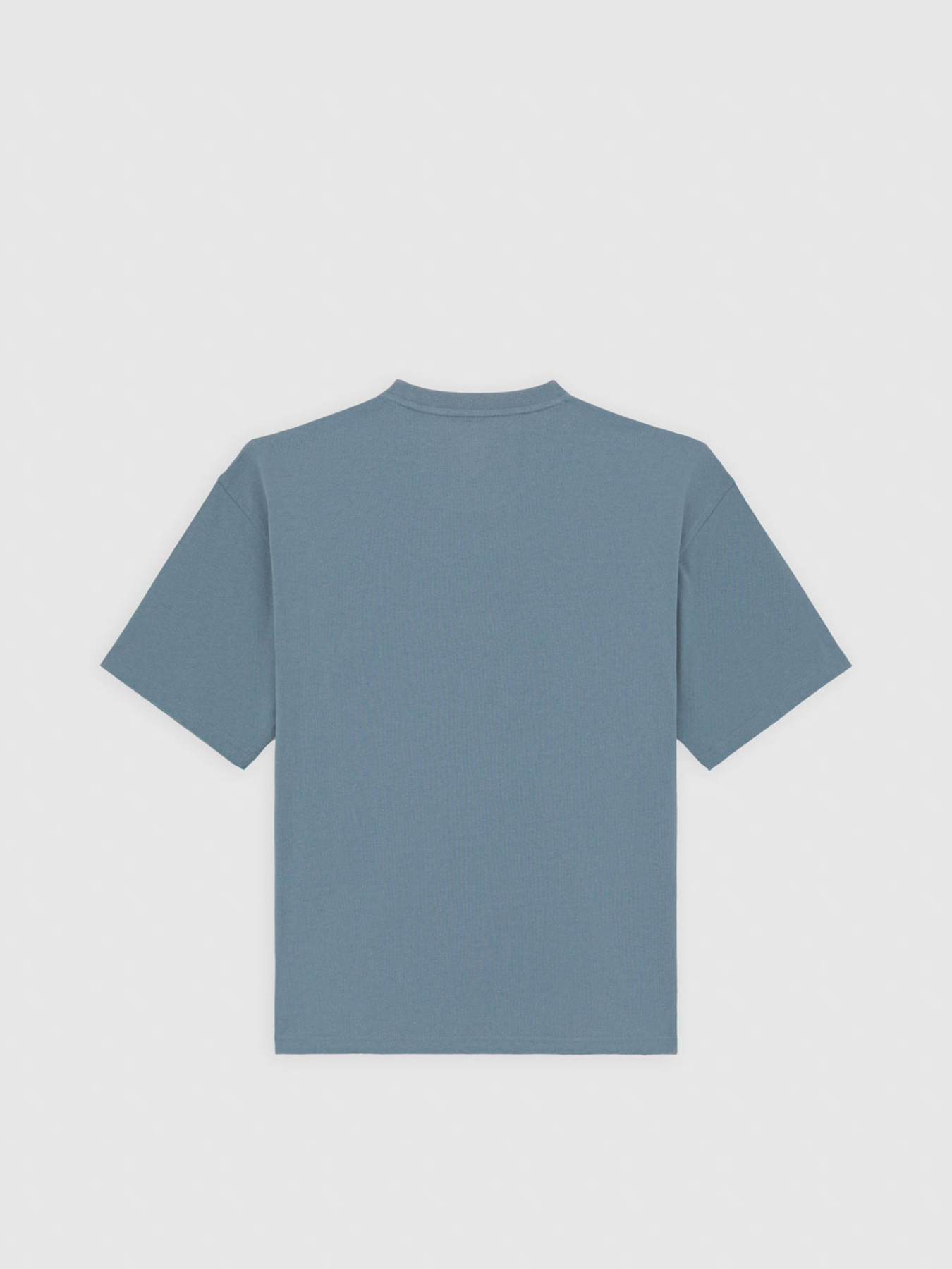 Футболка Dickies Lewistown Embro модель DK0A4Z94G701 Фото