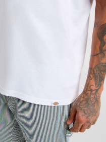 Футболка Dickies Companion модель DK0A4Z980WH1 Фото