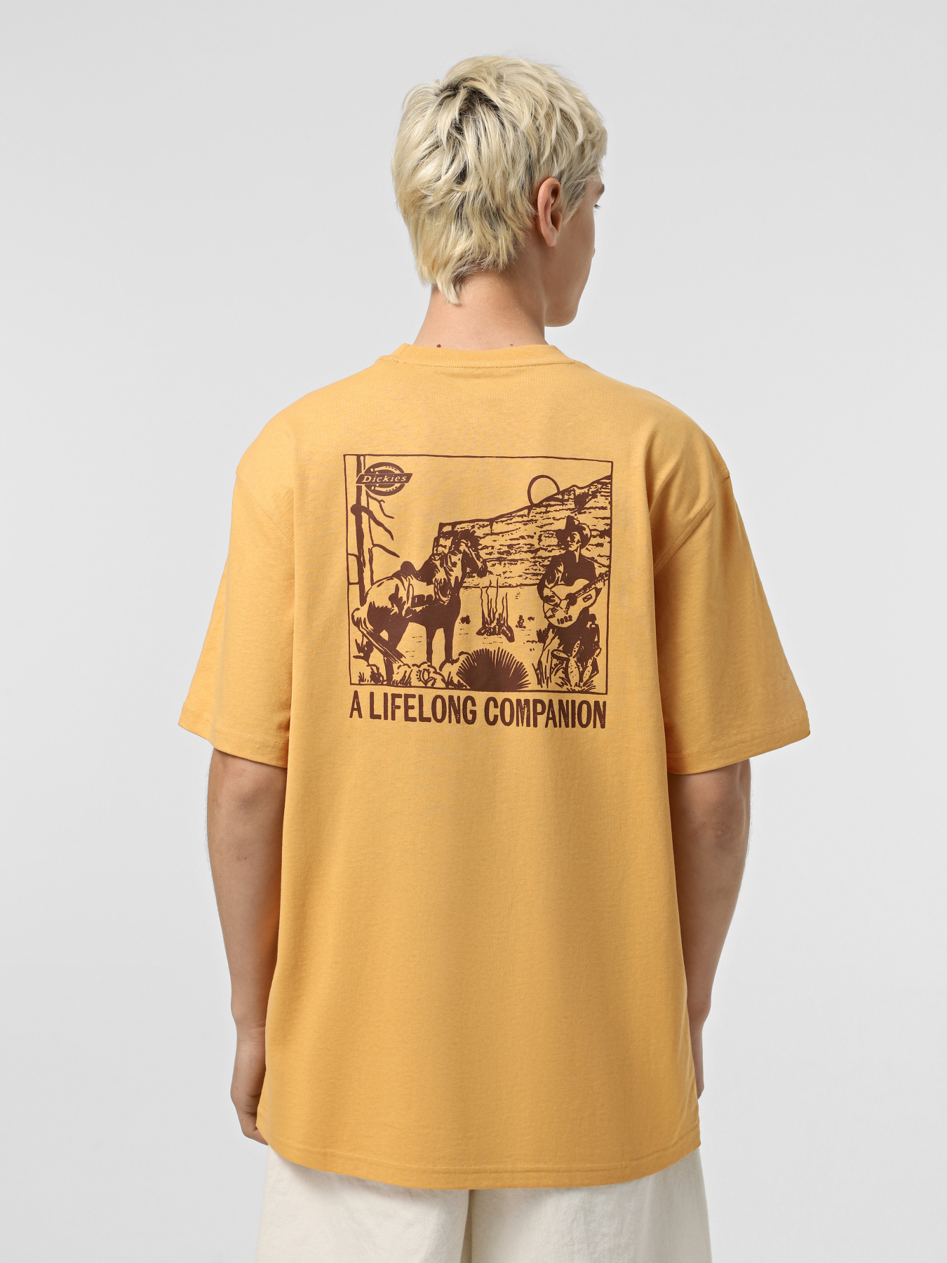 Футболка Dickies Companion модель DK0A4Z98K411 Фото