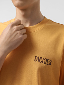Футболка Dickies Companion модель DK0A4Z98K411 Фото