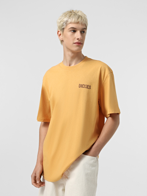 Футболка Dickies Companion модель DK0A4Z98K411 Фото