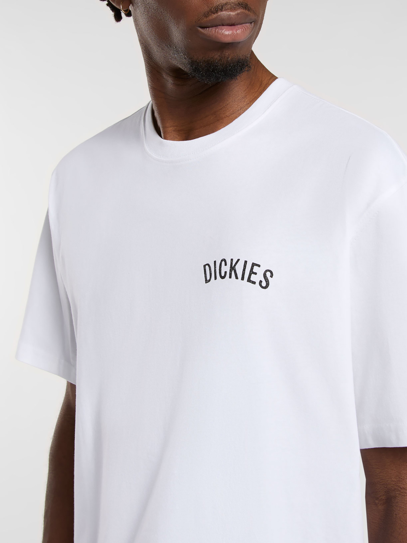 Футболка Dickies Dickies Snake модель DK0A4Z990WH1 Фото
