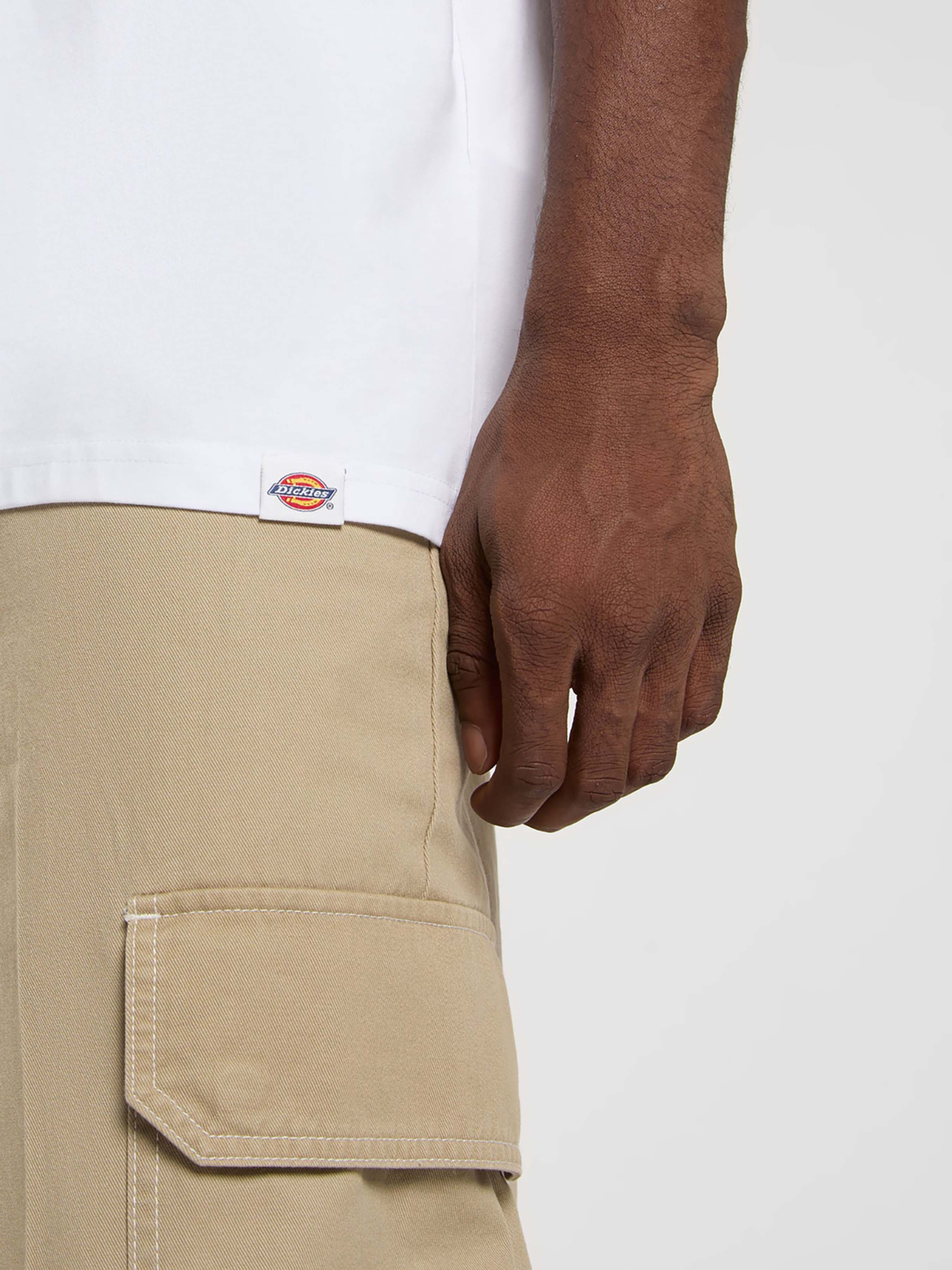 Футболка Dickies Dickies Snake модель DK0A4Z990WH1 Фото