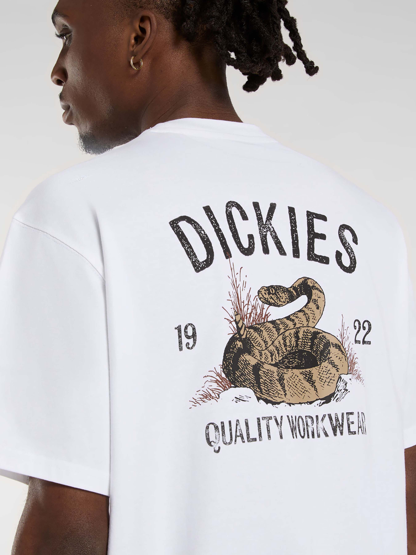 Футболка Dickies Dickies Snake модель DK0A4Z990WH1 Фото
