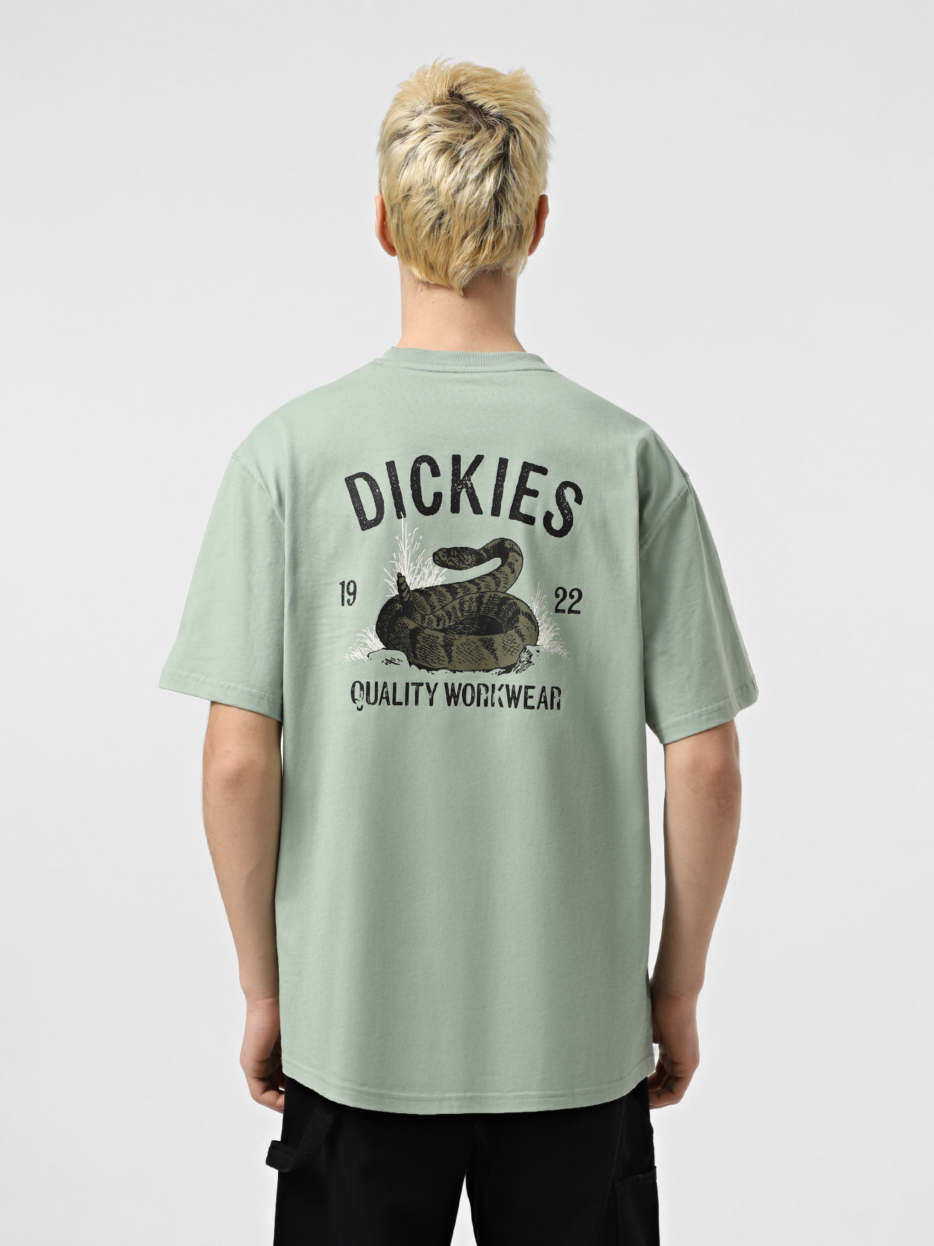 Футболка Dickies Dickies Snake модель DK0A4Z99K361 Фото