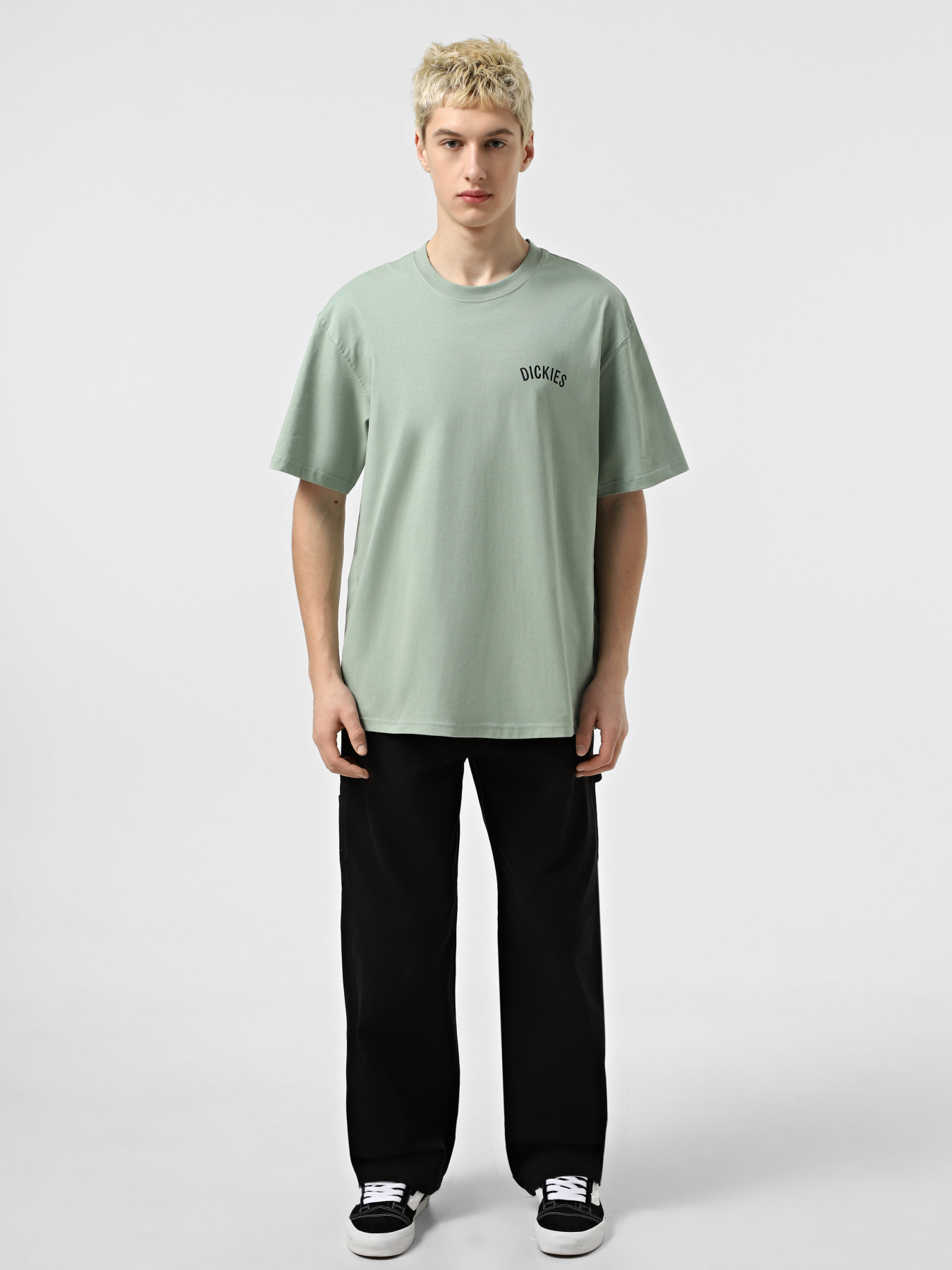 Футболка Dickies Dickies Snake модель DK0A4Z99K361 Фото