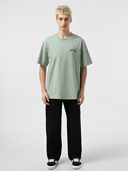 Футболка Dickies Dickies Snake модель DK0A4Z99K361 Фото