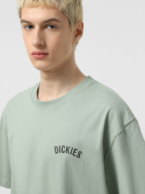 Футболка Dickies Dickies Snake модель DK0A4Z99K361 Фото