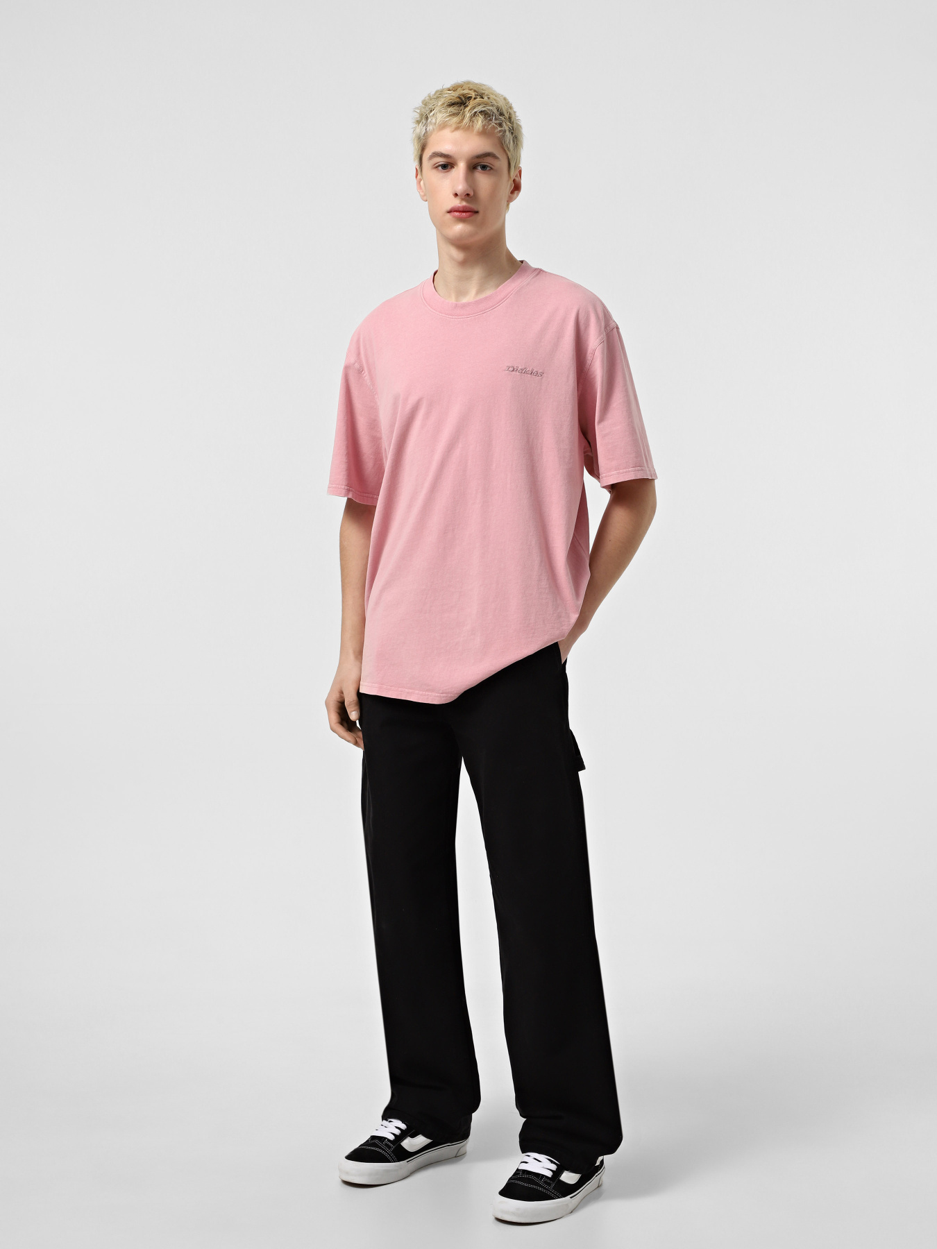 Штани повсякденні Dickies Canvas Carpenter Lighweight модель DK0A4ZABBLK1 Фото