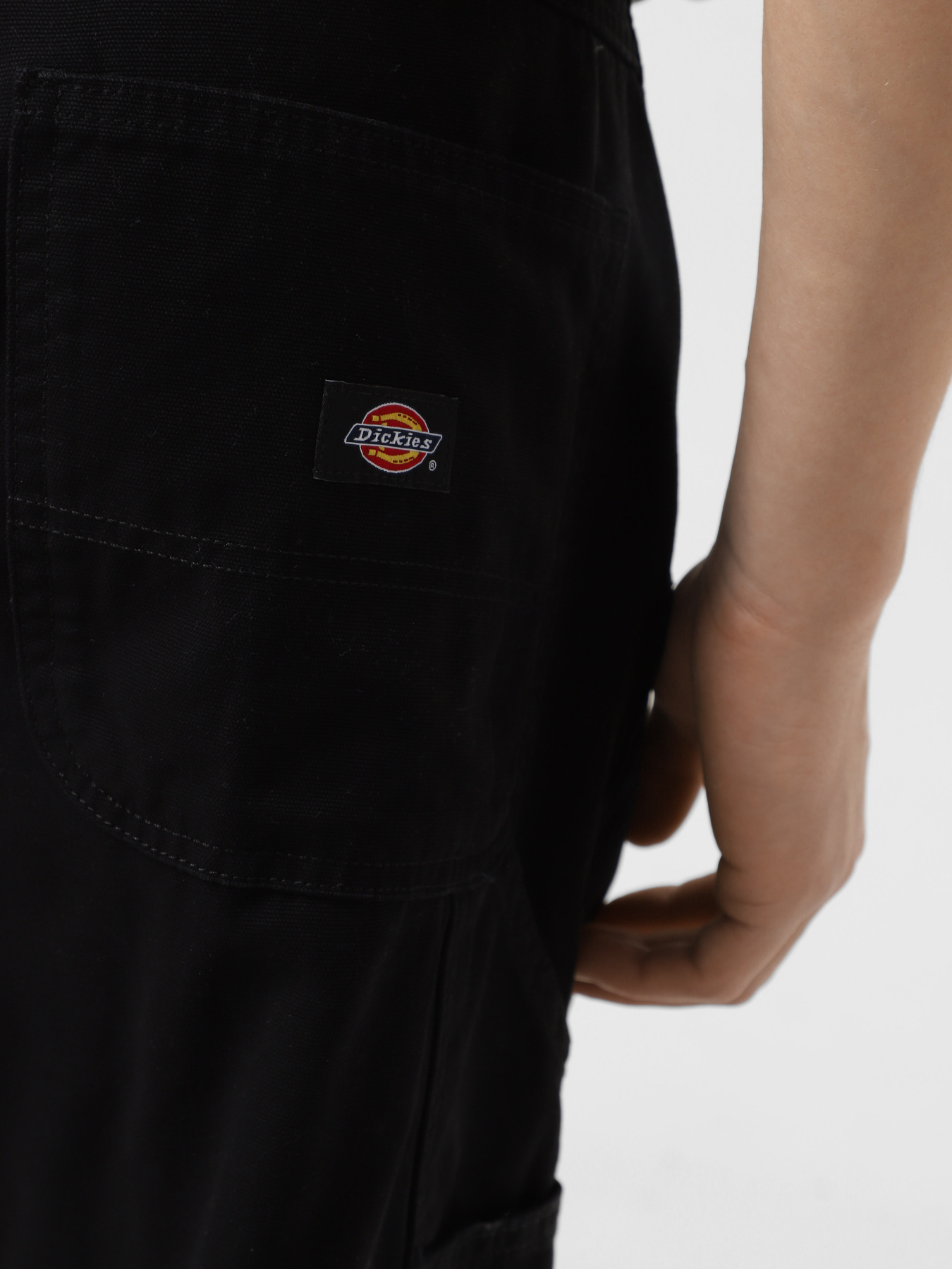 Штани повсякденні Dickies Canvas Carpenter Lighweight модель DK0A4ZABBLK1 Фото