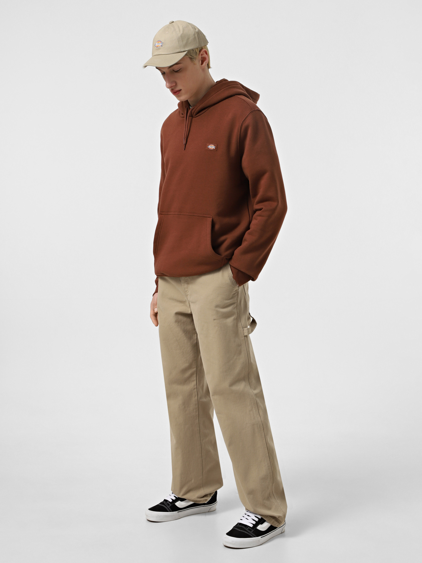 Штани повсякденні Dickies Canvas Carpenter Lighweight модель DK0A4ZABSDS1 Фото