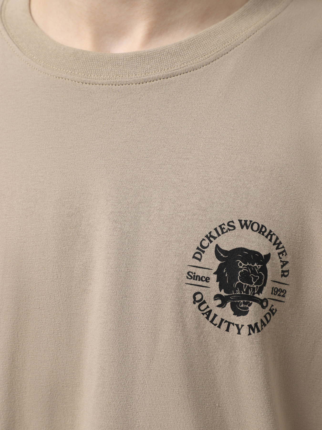 Футболка Dickies Wrench модель DK0A4ZAR0DS1 Фото