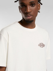 Футболка Dickies Wood Logo модель DK0A4ZATC481 Фото