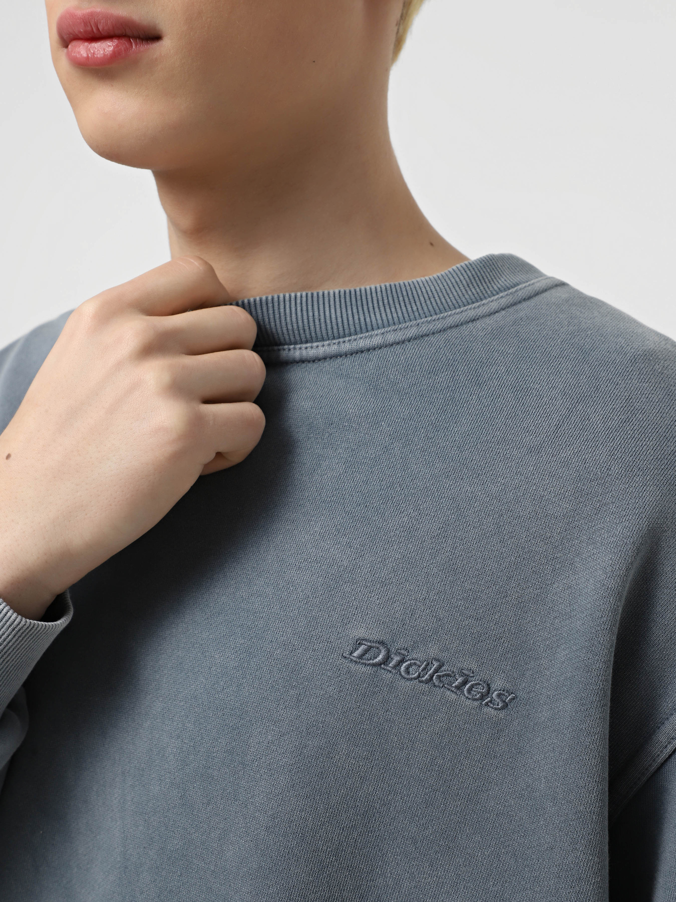 Свитшот Dickies Plentywood модель DK0A864HG701 Фото