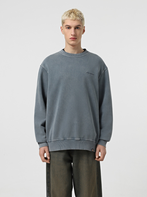 Світшот Dickies Plentywood модель DK0A864HG701 Фото