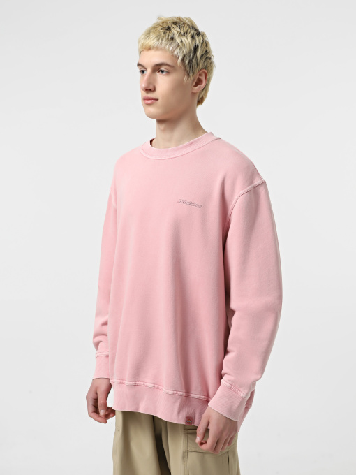 Світшот Dickies Plentywood модель DK0A864HK391 Фото