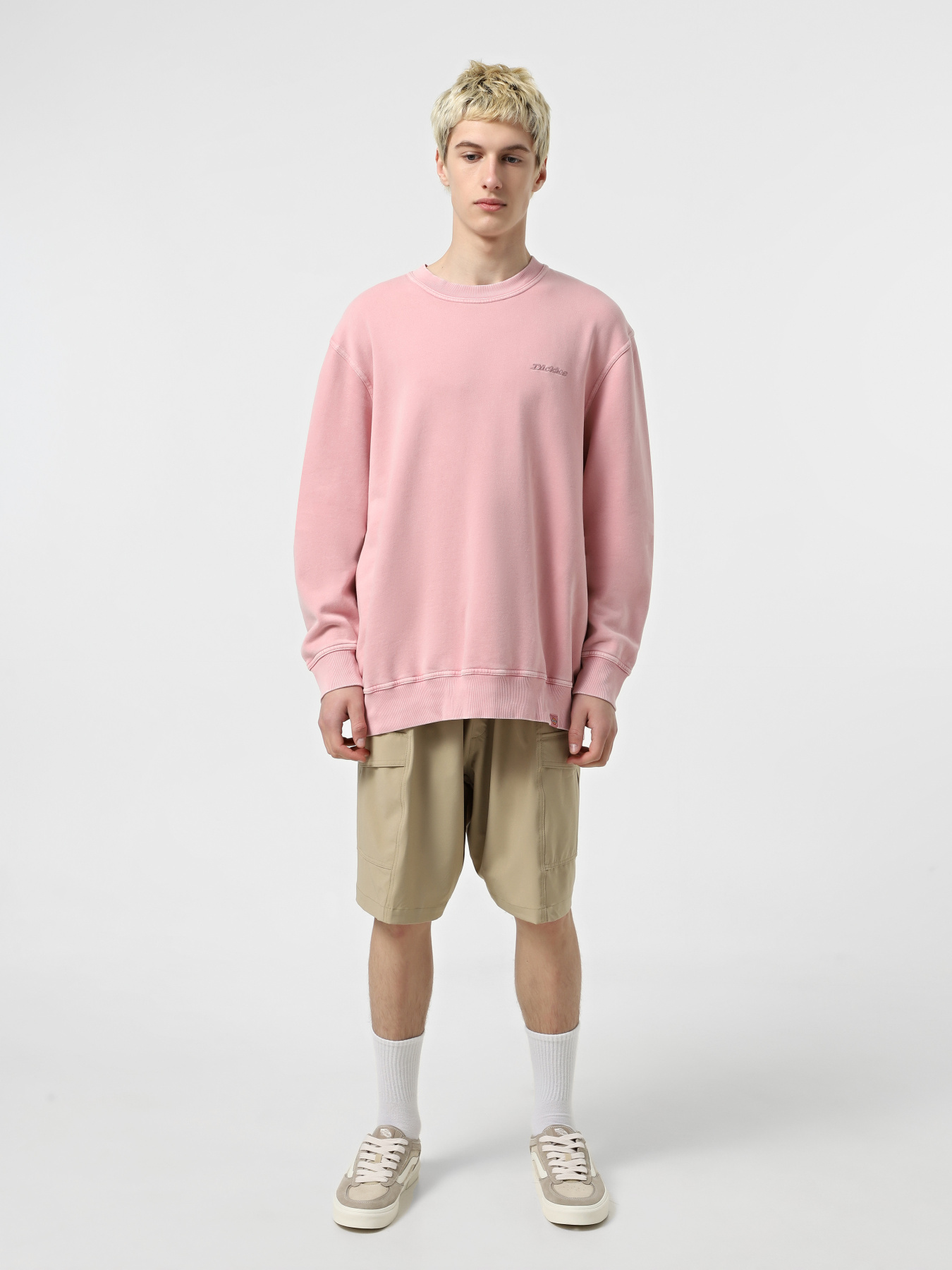 Світшот Dickies Plentywood модель DK0A864HK391 Фото