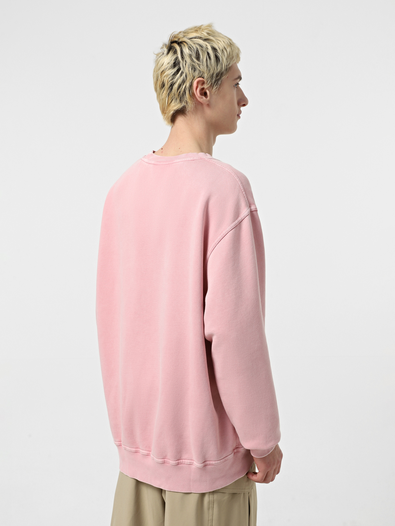 Світшот Dickies Plentywood модель DK0A864HK391 Фото