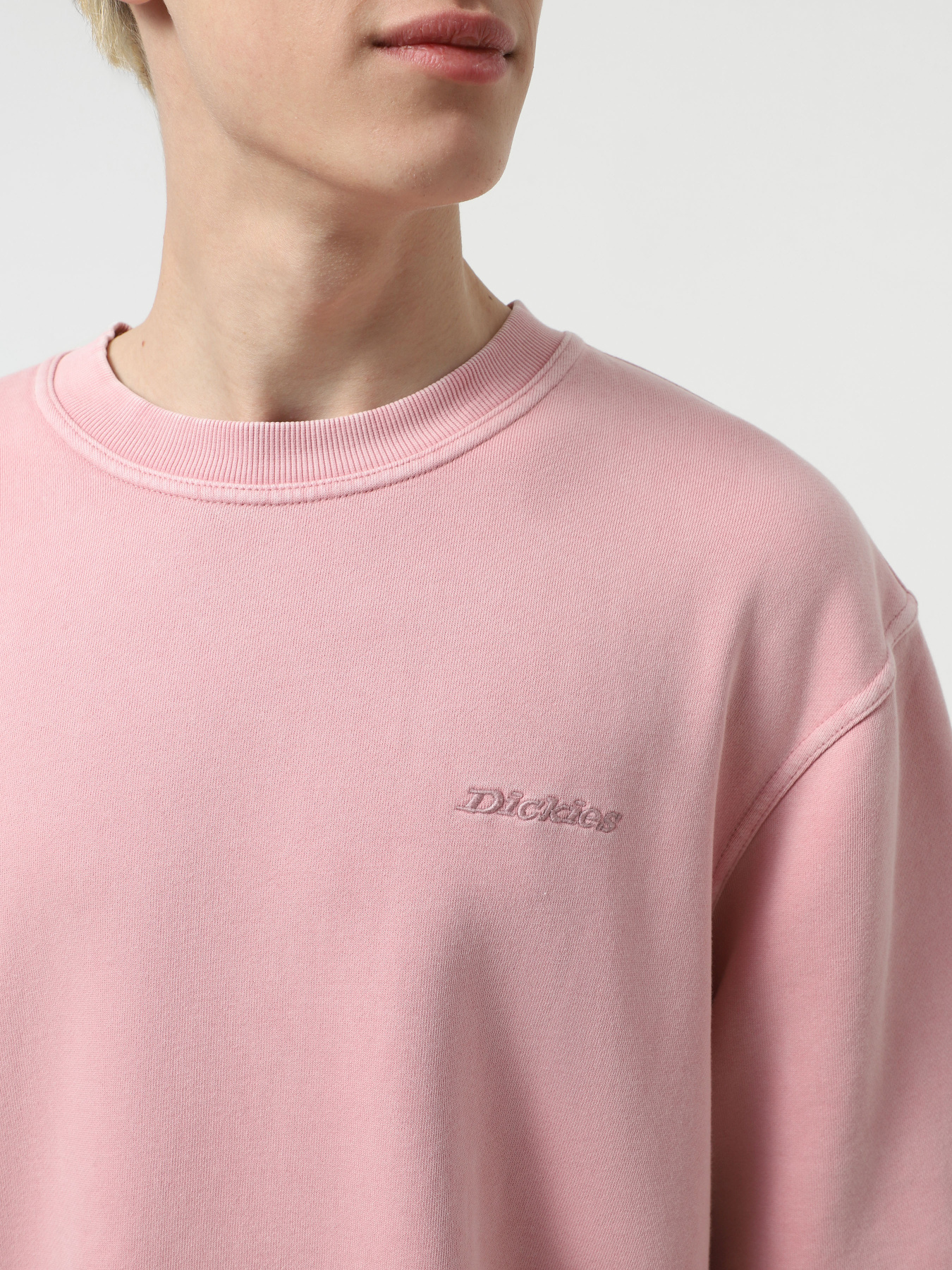 Світшот Dickies Plentywood модель DK0A864HK391 Фото