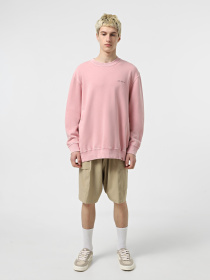 Світшот Dickies Plentywood модель DK0A864HK391 Фото