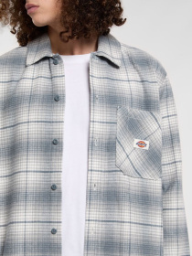 Рубашка в клетку Dickies Forest Check модель DK0A8653G701 Фото