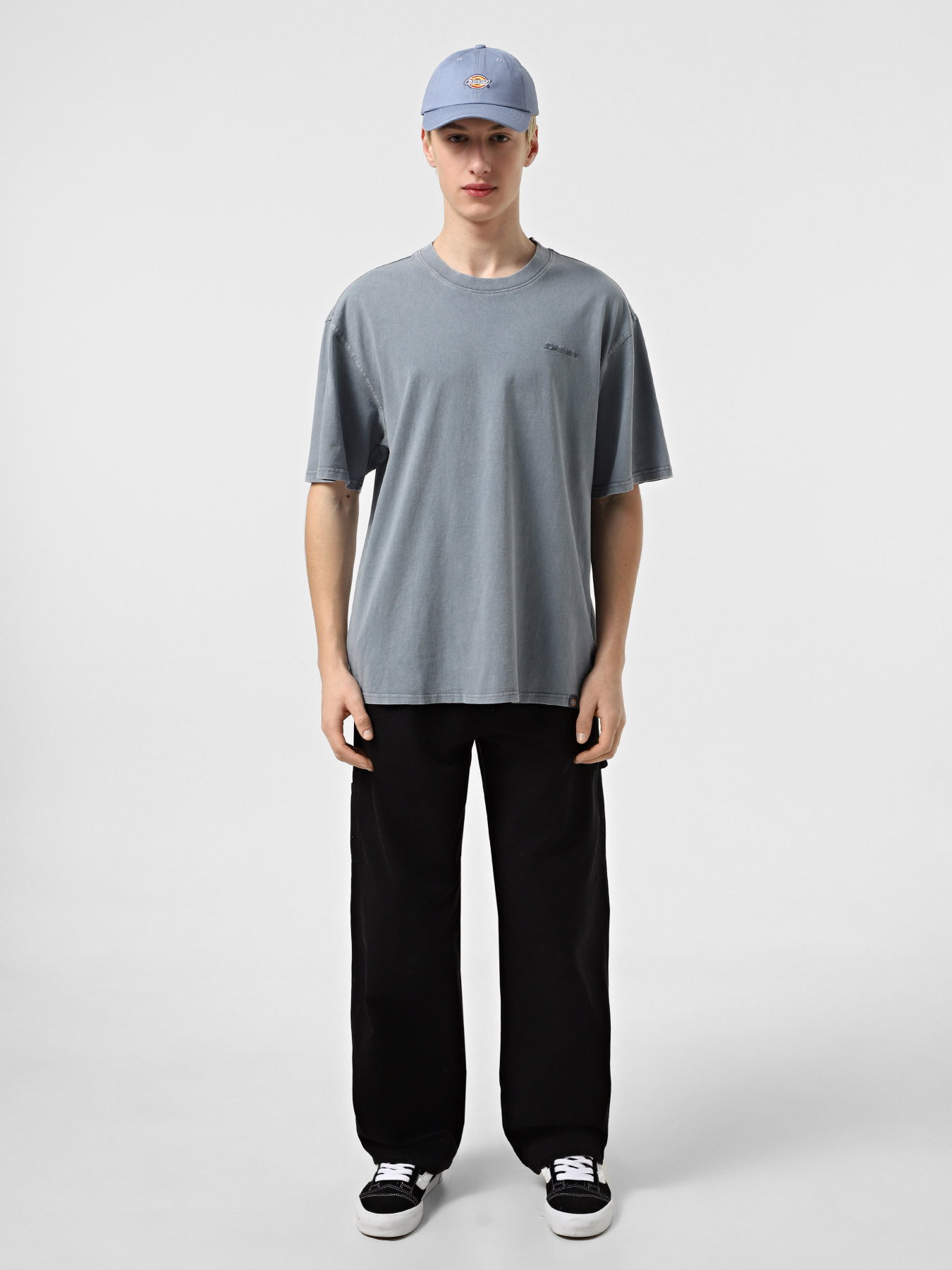 Футболка Dickies Plentywood модель DK0A866BG701 Фото