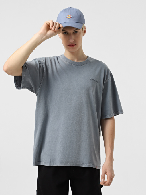 Футболка Dickies Plentywood модель DK0A866BG701 Фото