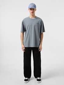 Футболка Dickies Plentywood модель DK0A866BG701 Фото