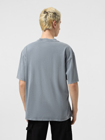 Футболка Dickies Plentywood модель DK0A866BG701 Фото