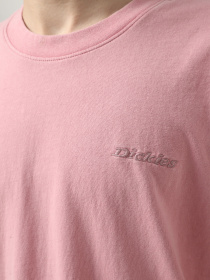 Футболка Dickies Plentywood модель DK0A866BK391 Фото