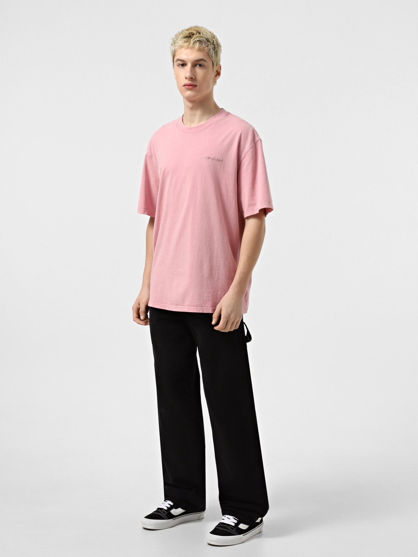 Футболка Dickies Plentywood модель DK0A866BK391 Фото