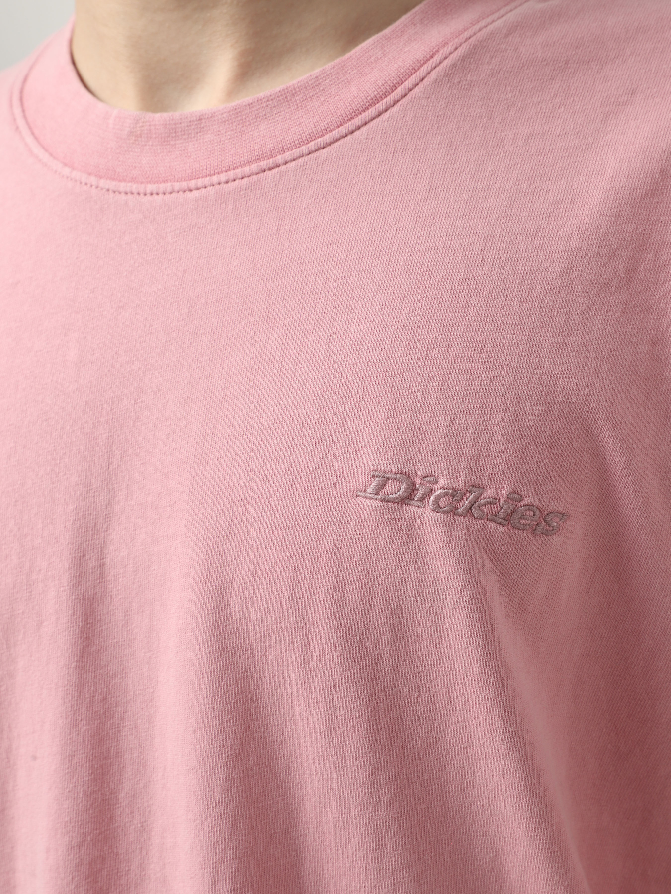 Футболка Dickies Plentywood модель DK0A866BK391 Фото