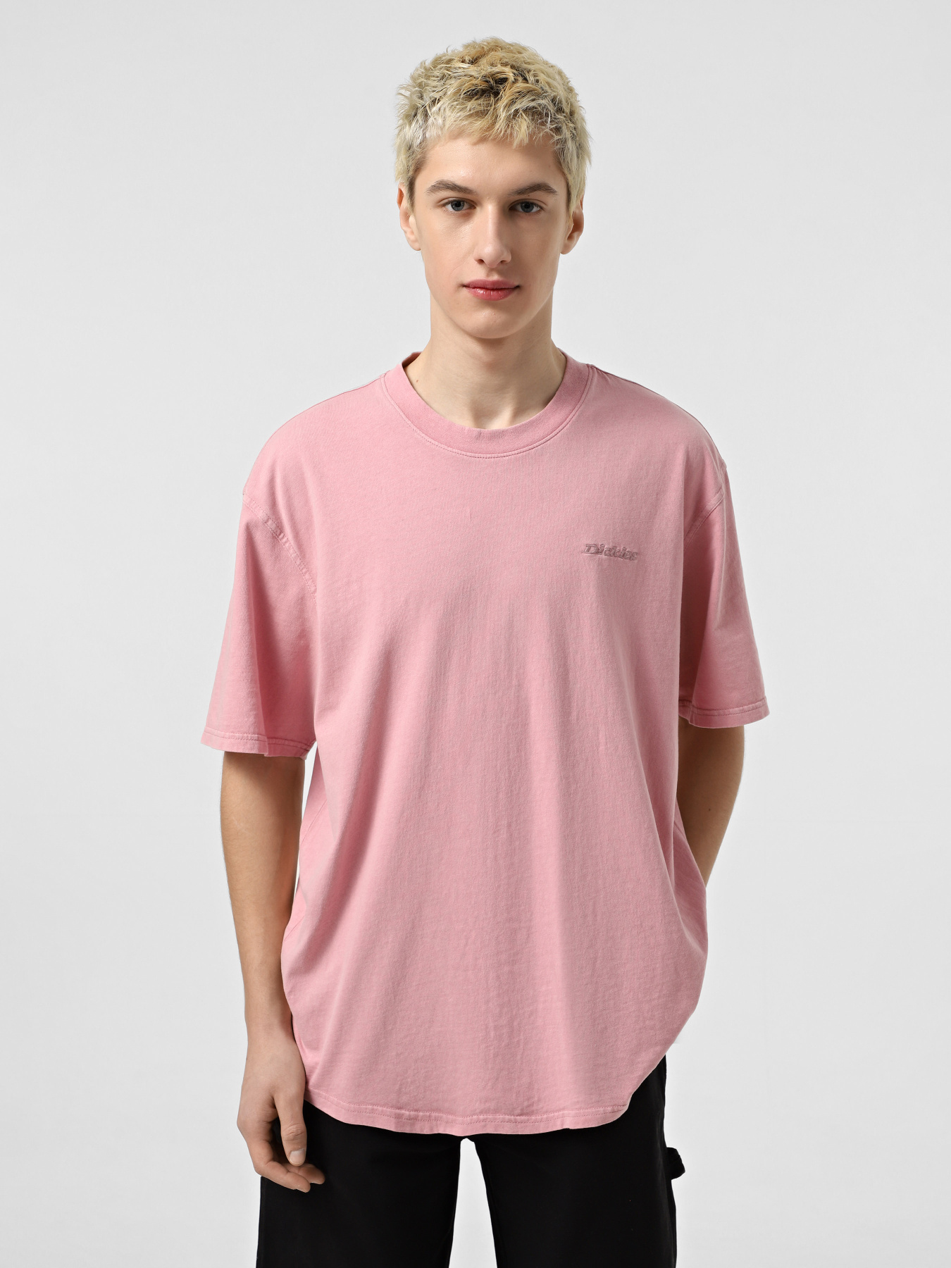 Футболка Dickies Plentywood модель DK0A866BK391 Фото