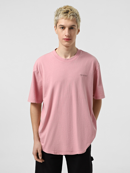 Футболка Dickies Plentywood модель DK0A866BK391 Фото