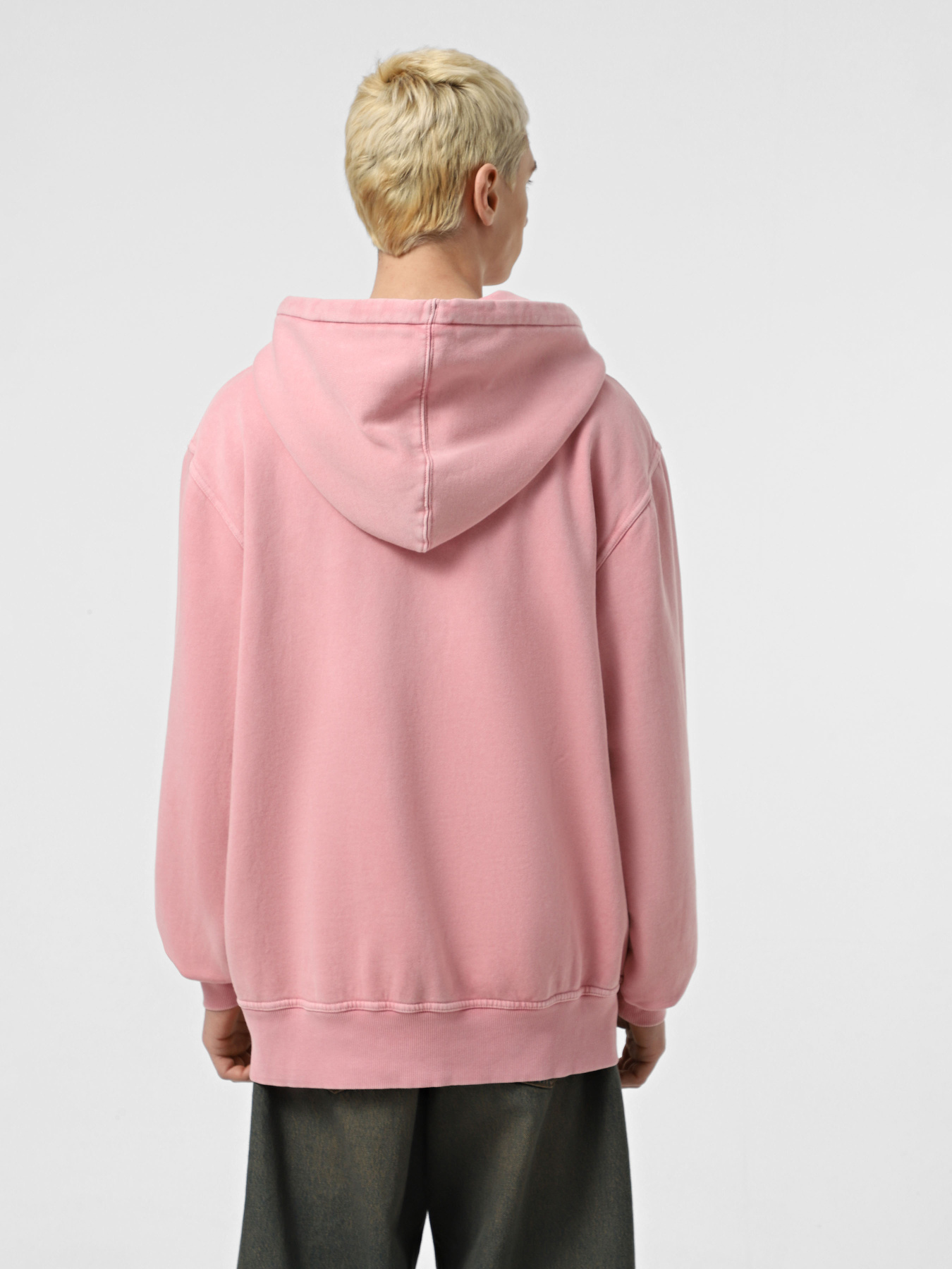 Худи Dickies Plentywood HD модель DK0A866DK391 Фото