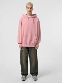 Худи Dickies Plentywood HD модель DK0A866DK391 Фото