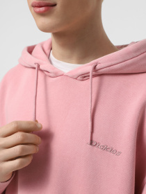 Худи Dickies Plentywood HD модель DK0A866DK391 Фото