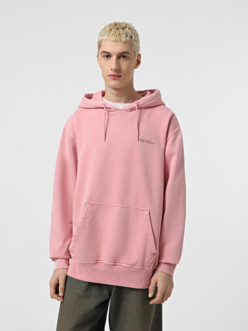 Худі Dickies Plentywood HD модель DK0A866DK391 Фото