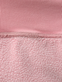 Худи Dickies Plentywood HD модель DK0A866DK391 Фото