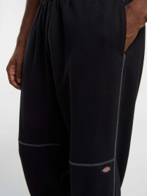 Джогери Dickies Roy Sweats модель DK0A866TBLK1 Джогери Dickies Roy Sweats модель DK0A866TBLK1 Фото