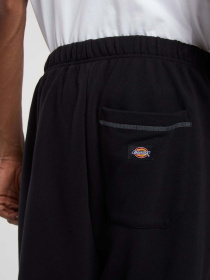 Джогери Dickies Roy Sweats модель DK0A866TBLK1 Джогери Dickies Roy Sweats модель DK0A866TBLK1 Фото