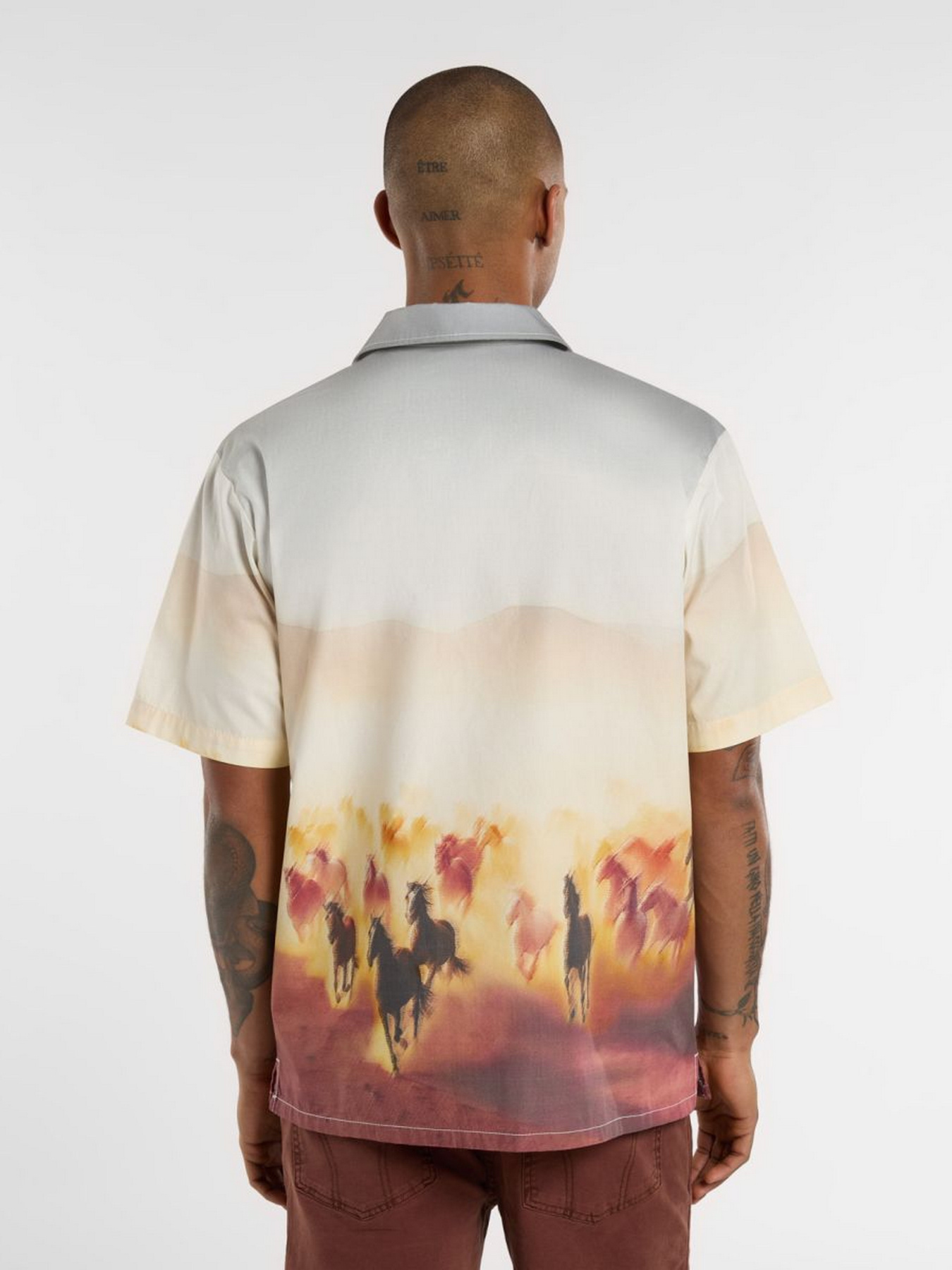 Сорочка Dickies Running Wild модель DK0A8676K411 Фото