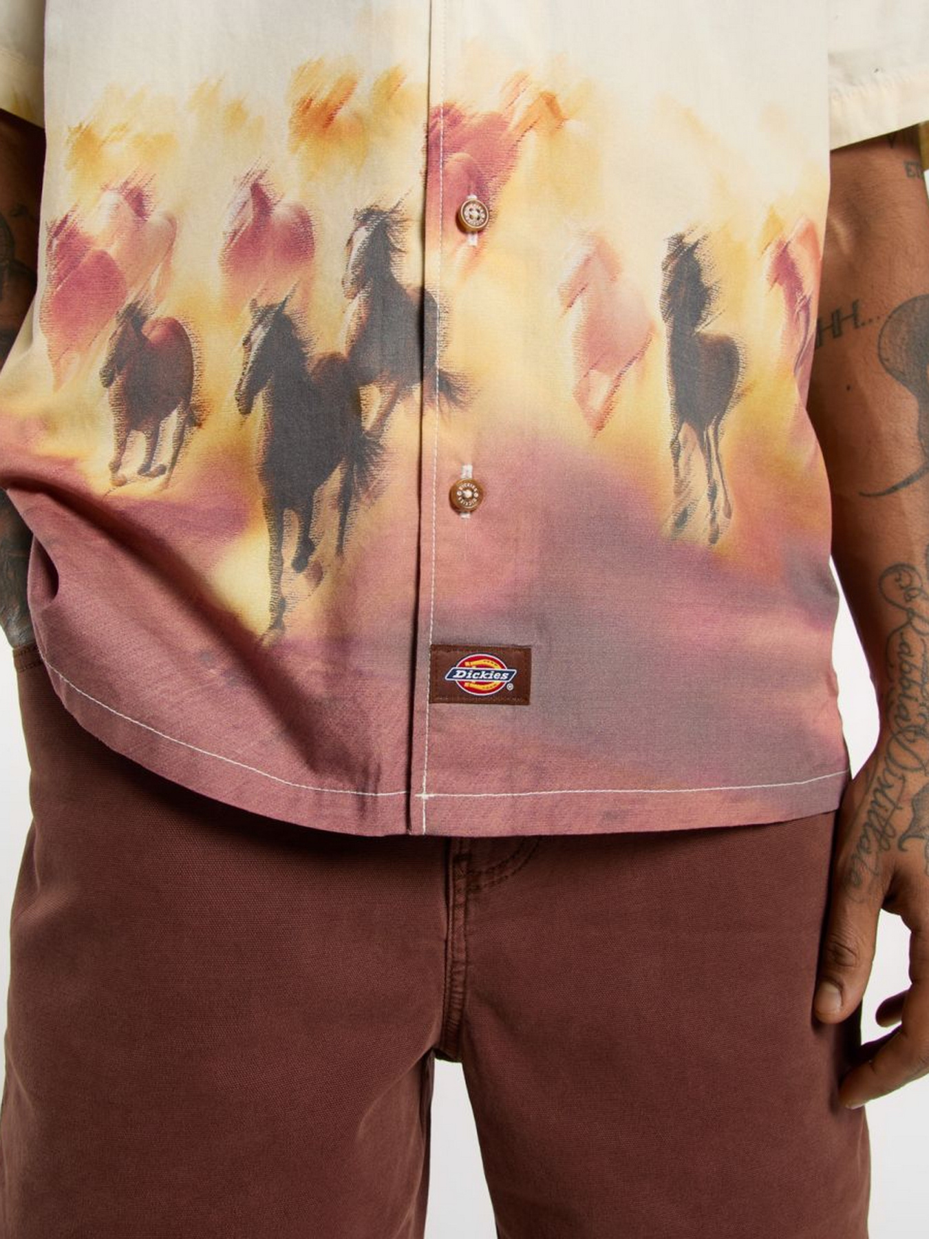 Сорочка Dickies Running Wild модель DK0A8676K411 Фото