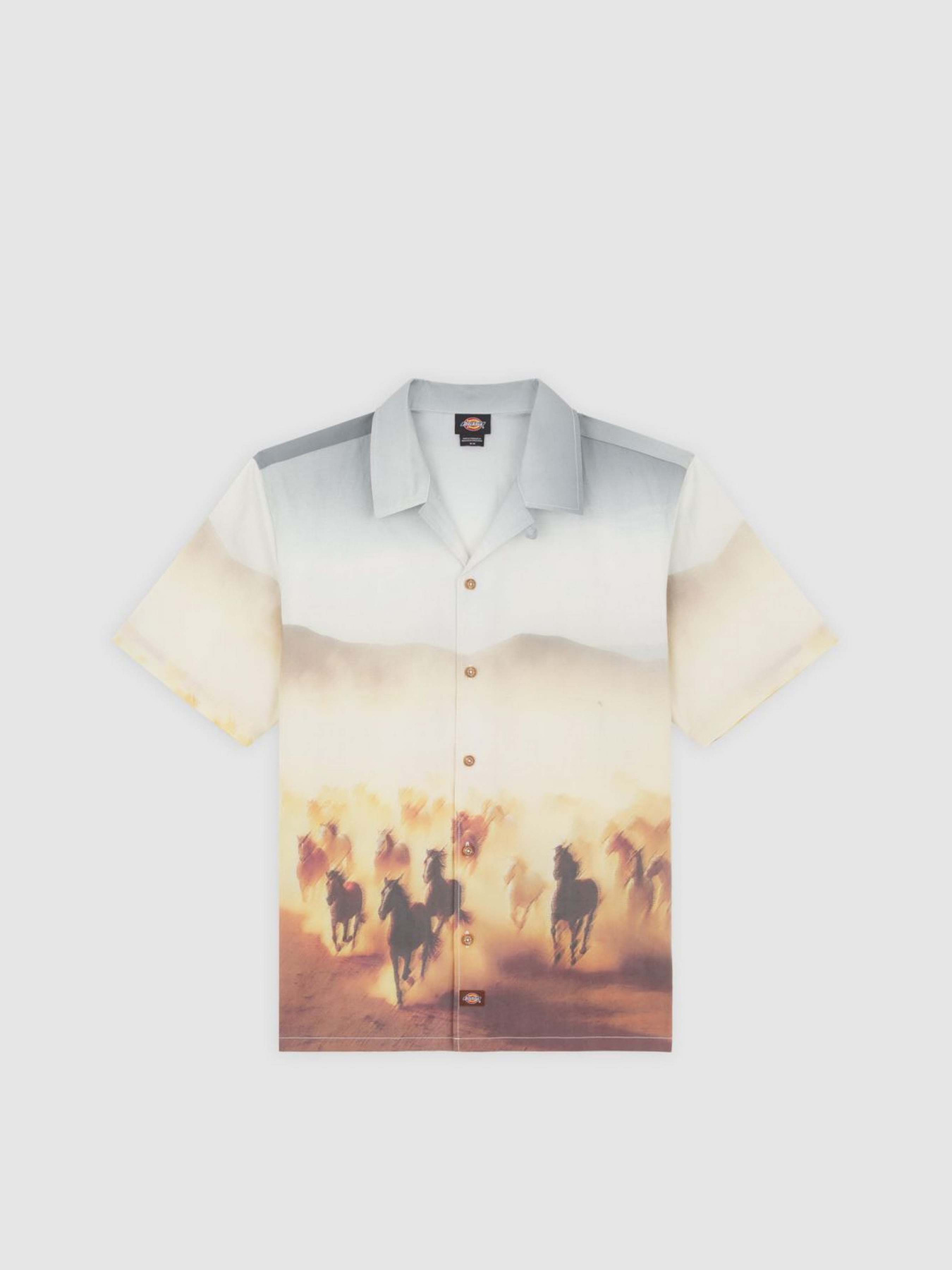 Сорочка Dickies Running Wild модель DK0A8676K411 Фото