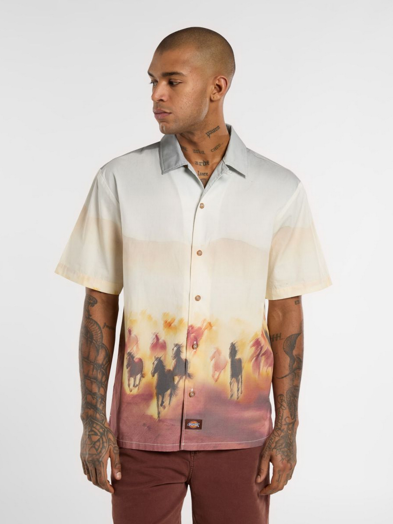 Сорочка Dickies Running Wild модель DK0A8676K411 Фото