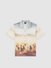 Сорочка Dickies Running Wild модель DK0A8676K411 Фото