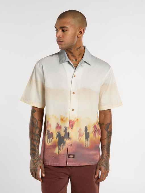 Рубашка Dickies Running Wild модель DK0A8676K411 Фото