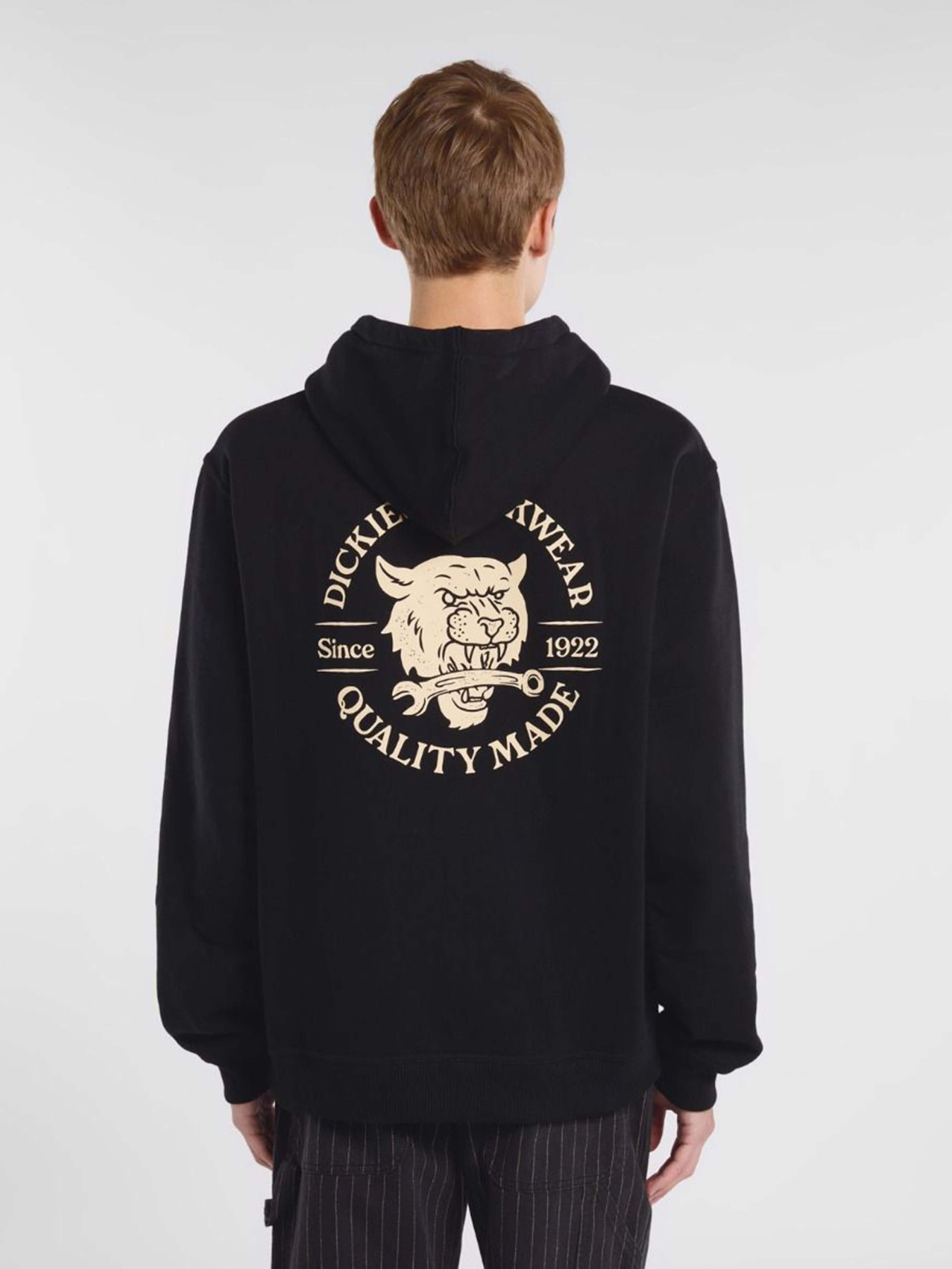 Худи Dickies Wrench модель DK0A8681BLK1 Фото