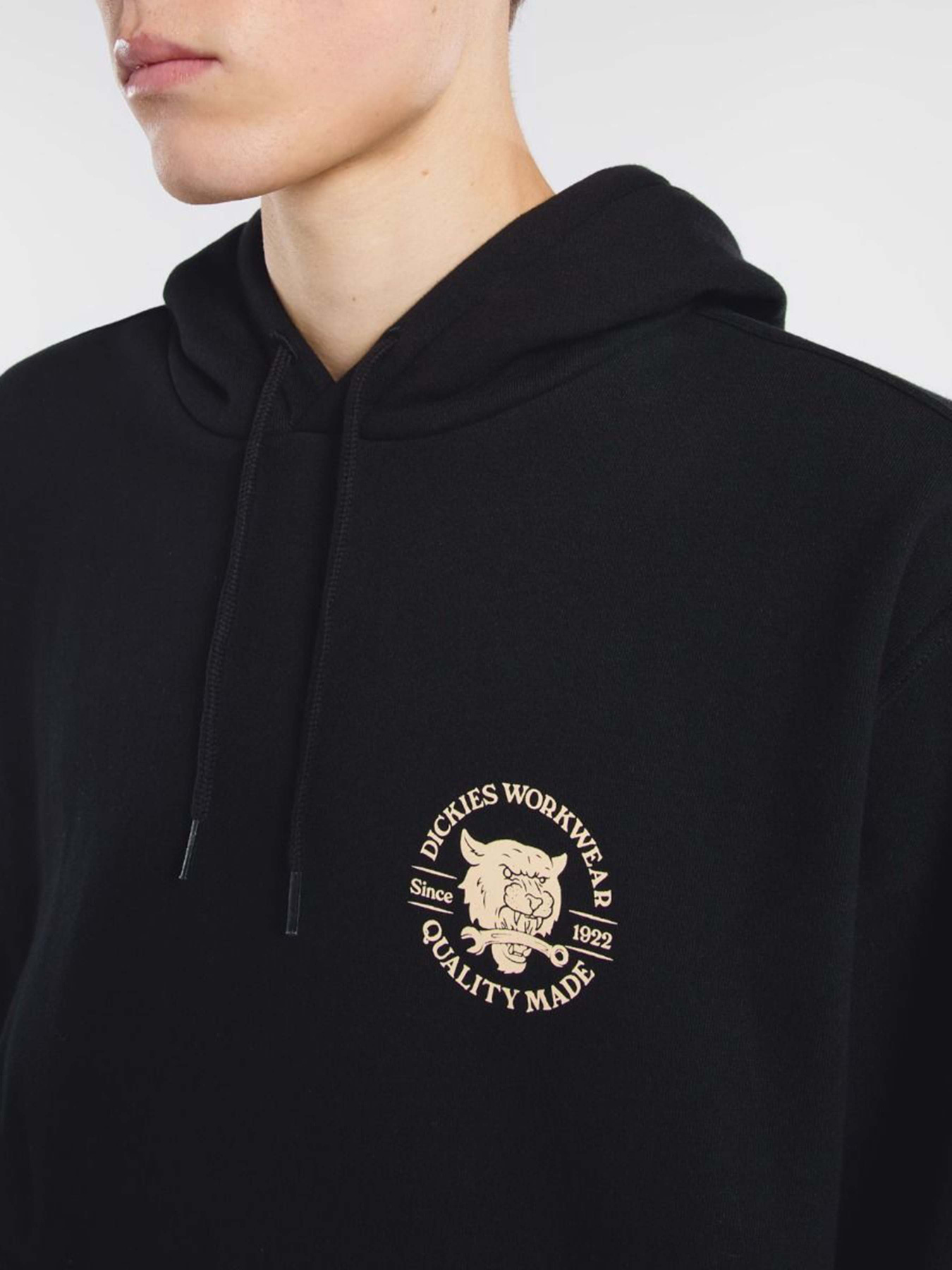 Худи Dickies Wrench модель DK0A8681BLK1 Фото