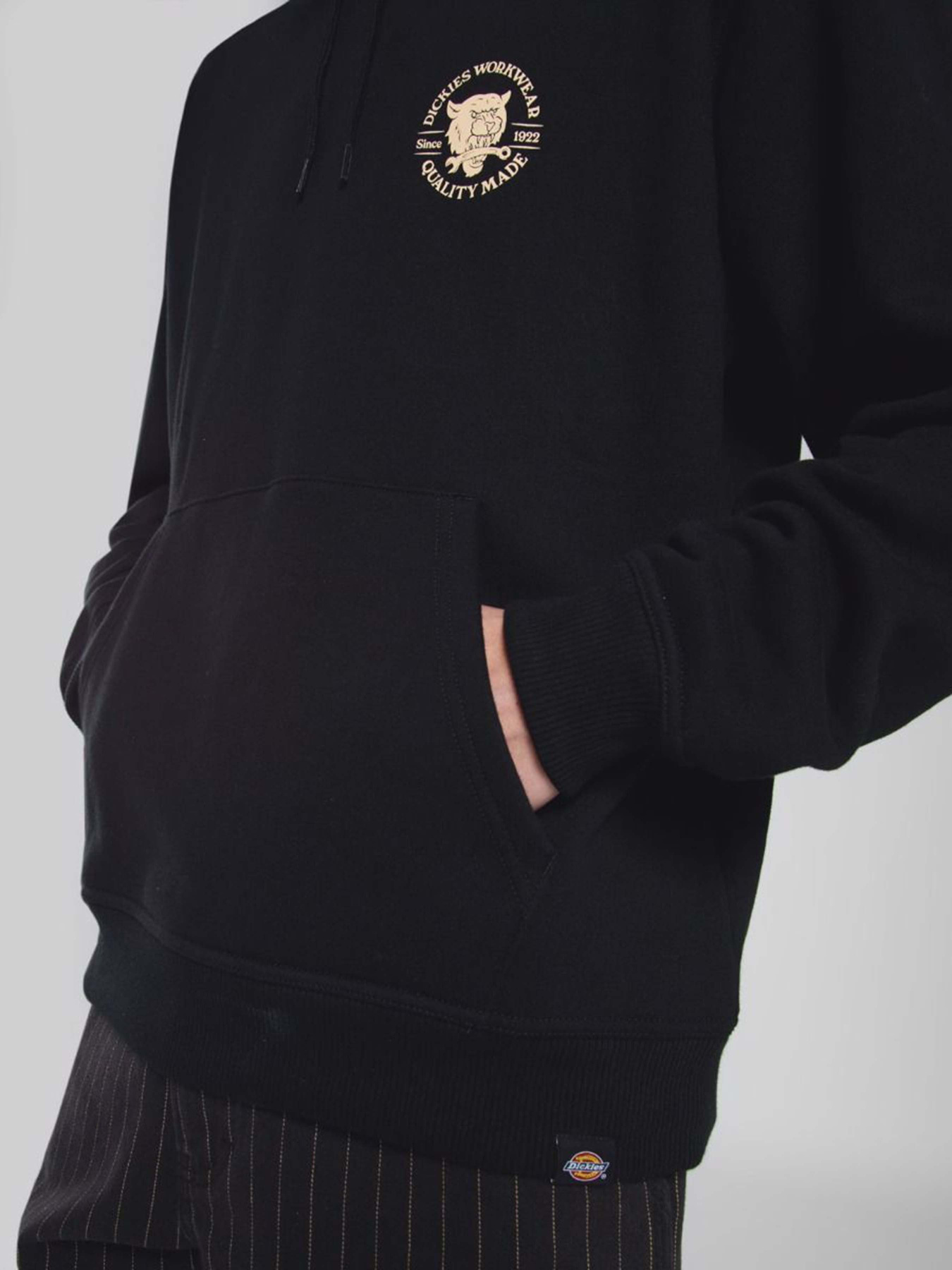 Худи Dickies Wrench модель DK0A8681BLK1 Фото